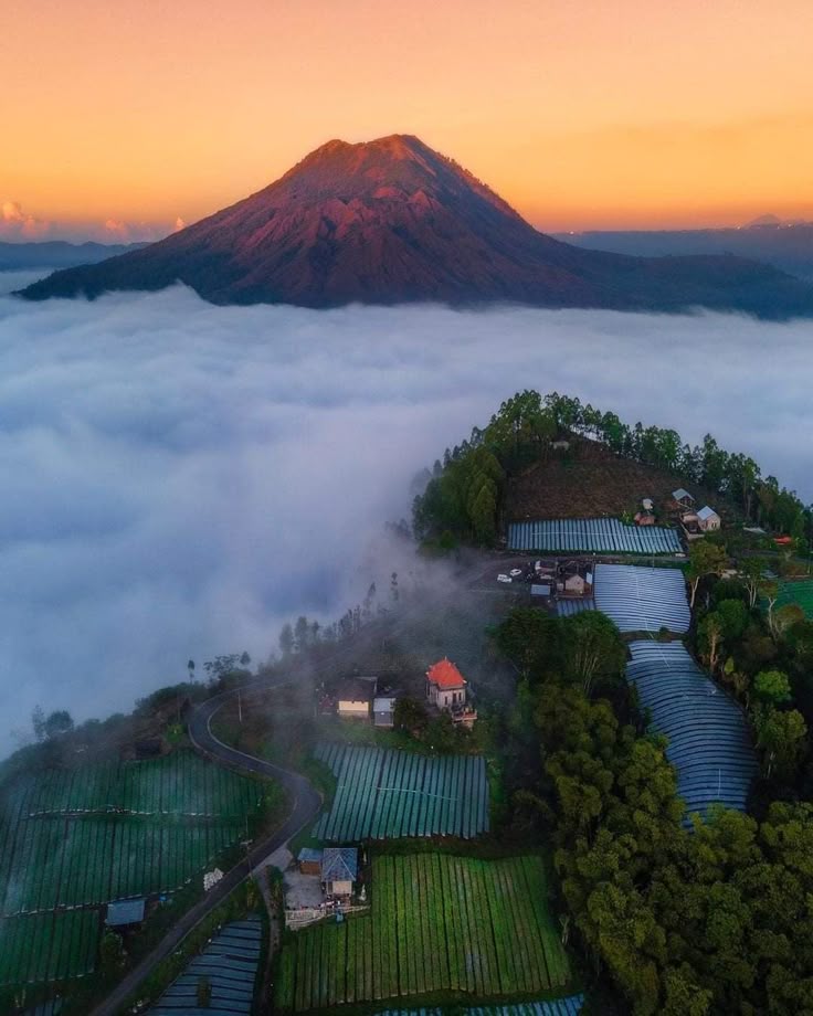 Kintamani/Mount Batur, Ubud sightseeing, Tegallalang Rice Terrace, Tegenungan Waterfall, Coffee Plantation & Bali Swing.